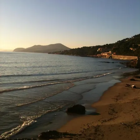 Apartamento T2 Avec Terrasse Fermée Aperçu Calme Colline Proche Plages Almanarre Hyères
